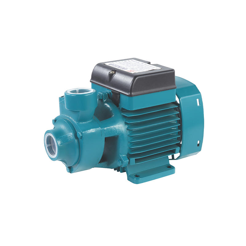 QB60 Electric 0.5 1/2 HP garden house pool centrifugal peripheral power clear water pump sprinkling water